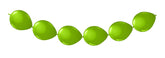 csv_image script 08453_4.jpg